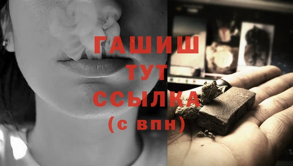 прущие крисы Бородино