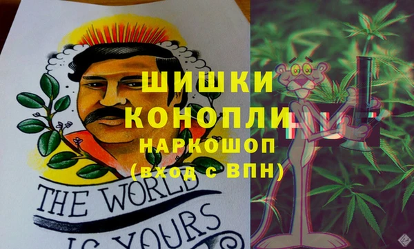 прущие крисы Бородино