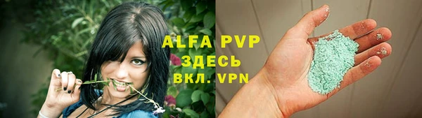 прущие крисы Бородино