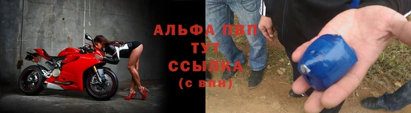 прущие крисы Бородино