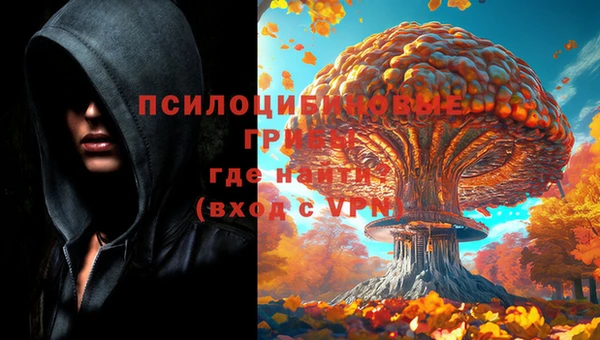 гашиш Богородск