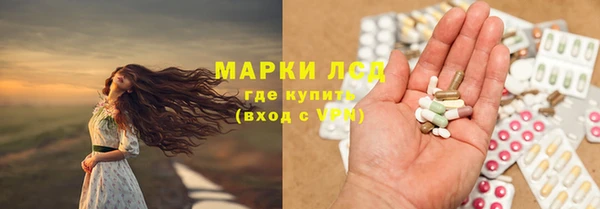 дмт Богданович