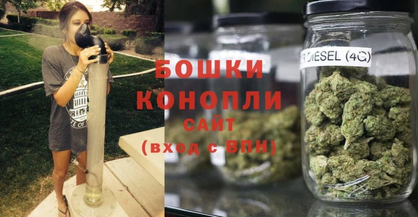 стаф Богородицк