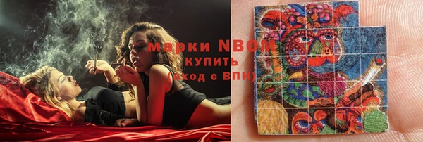дмт Богданович