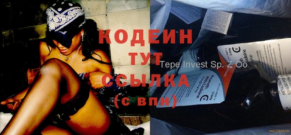 дмт Богданович