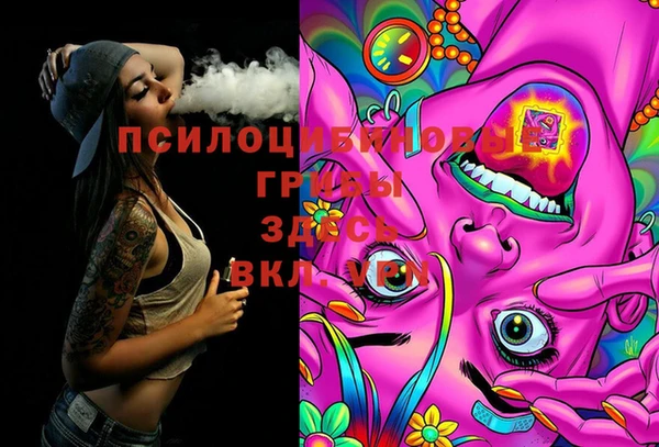 дживик Вуктыл